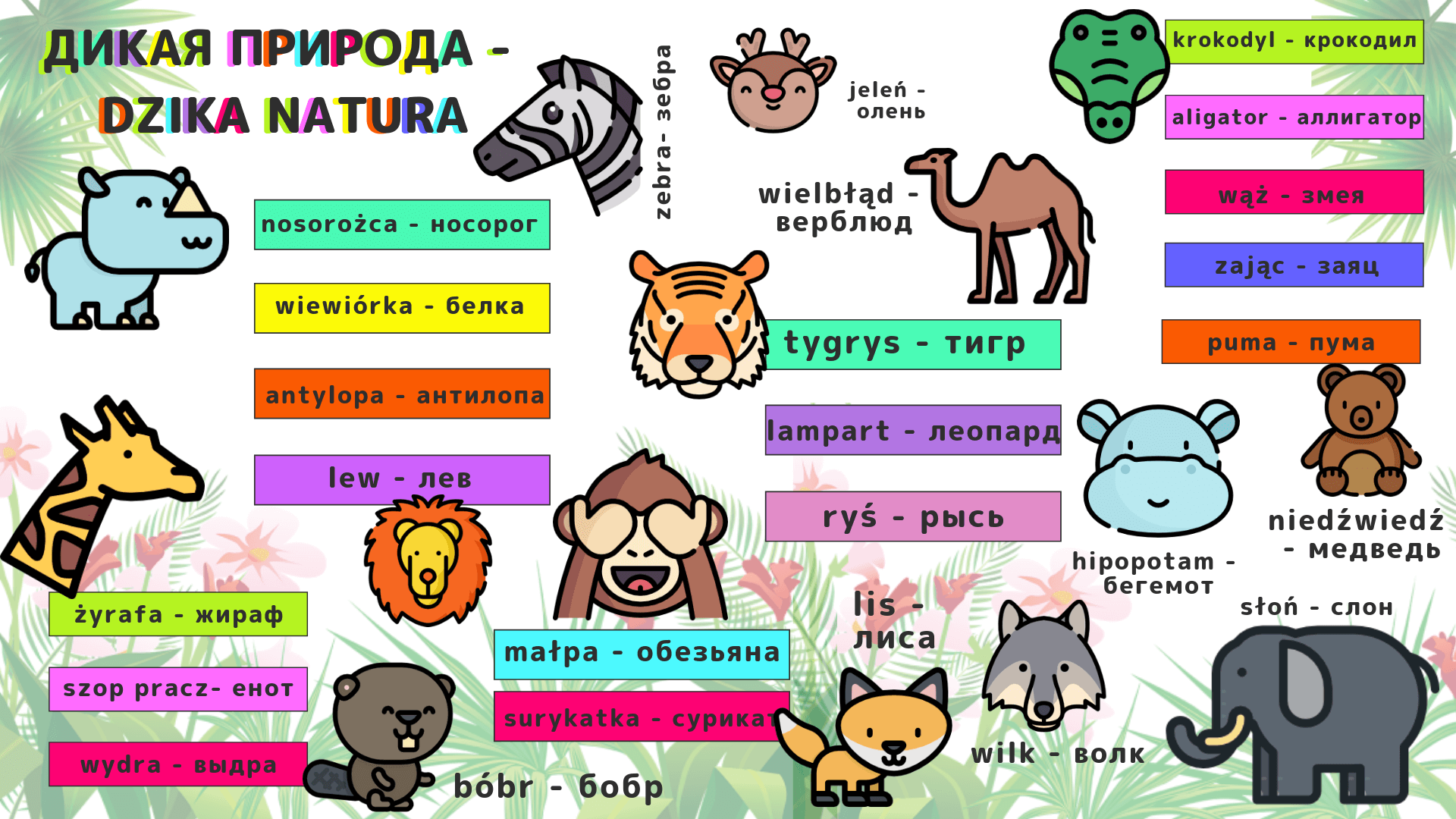 Названия диких животных на польском языке