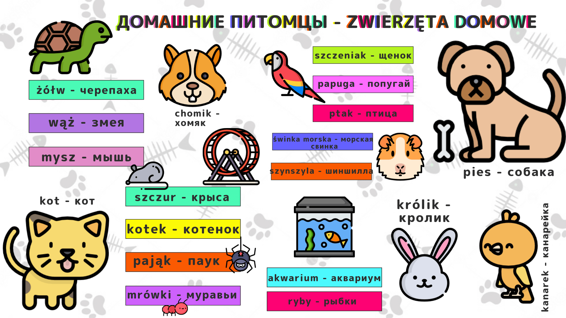 Названия домашних любимцев на польском языке: