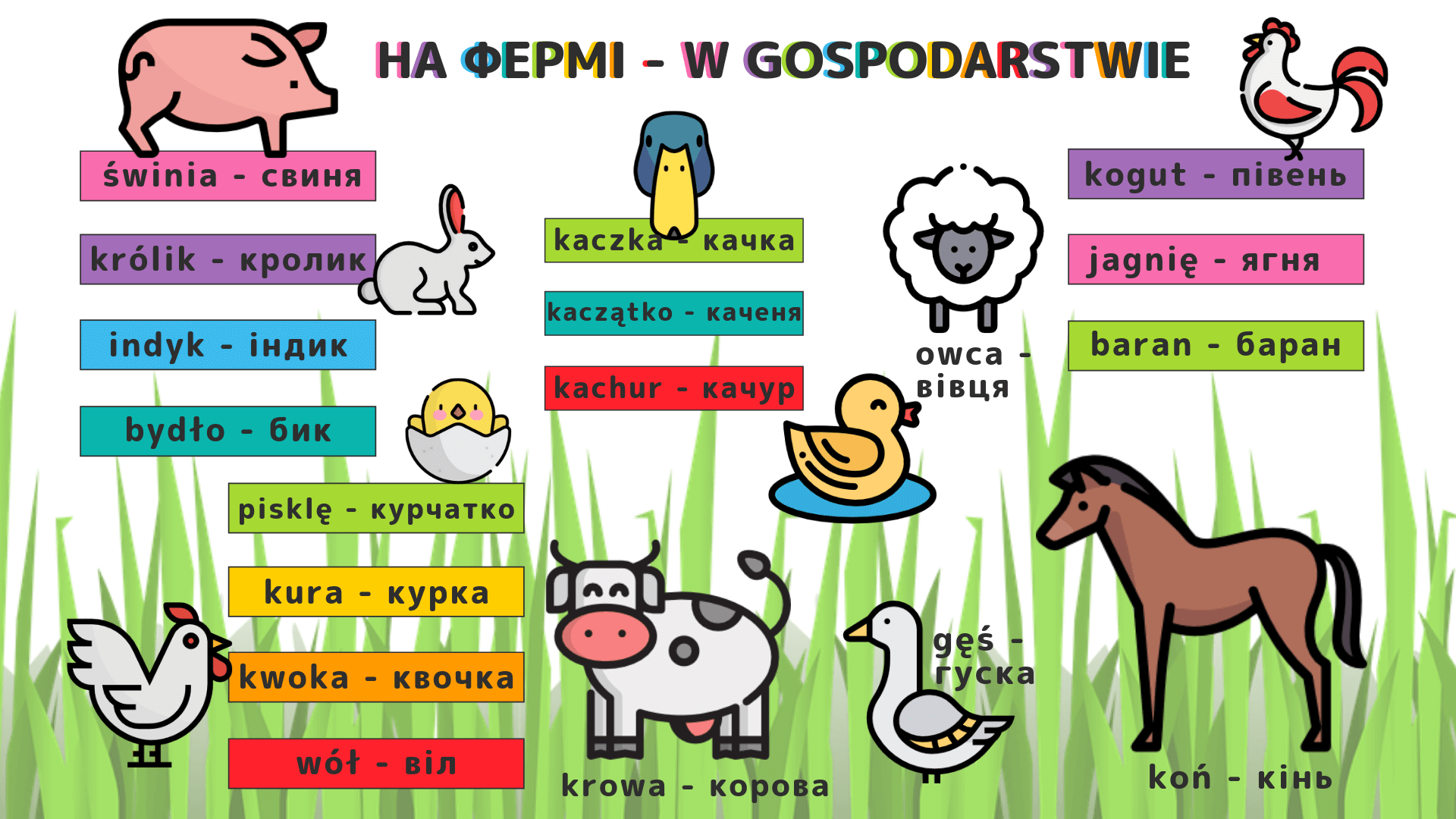 Назви свійських тварин польською мовою