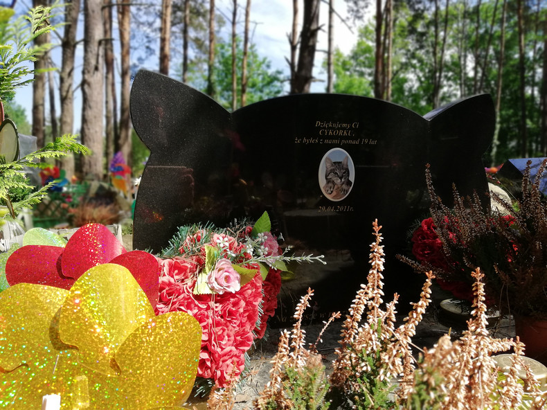 кладбище домашних животных в Польше