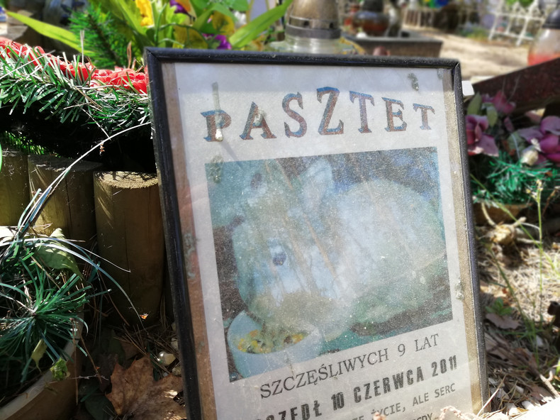 кладовище домашніх тварин у Польщі