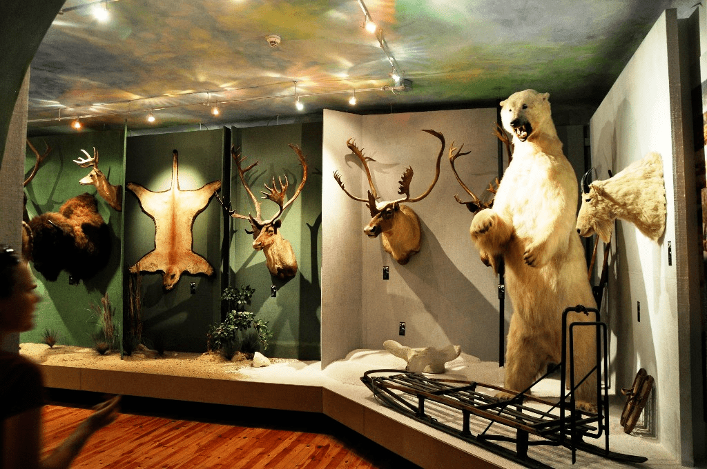 Музей охоты и верховой езды