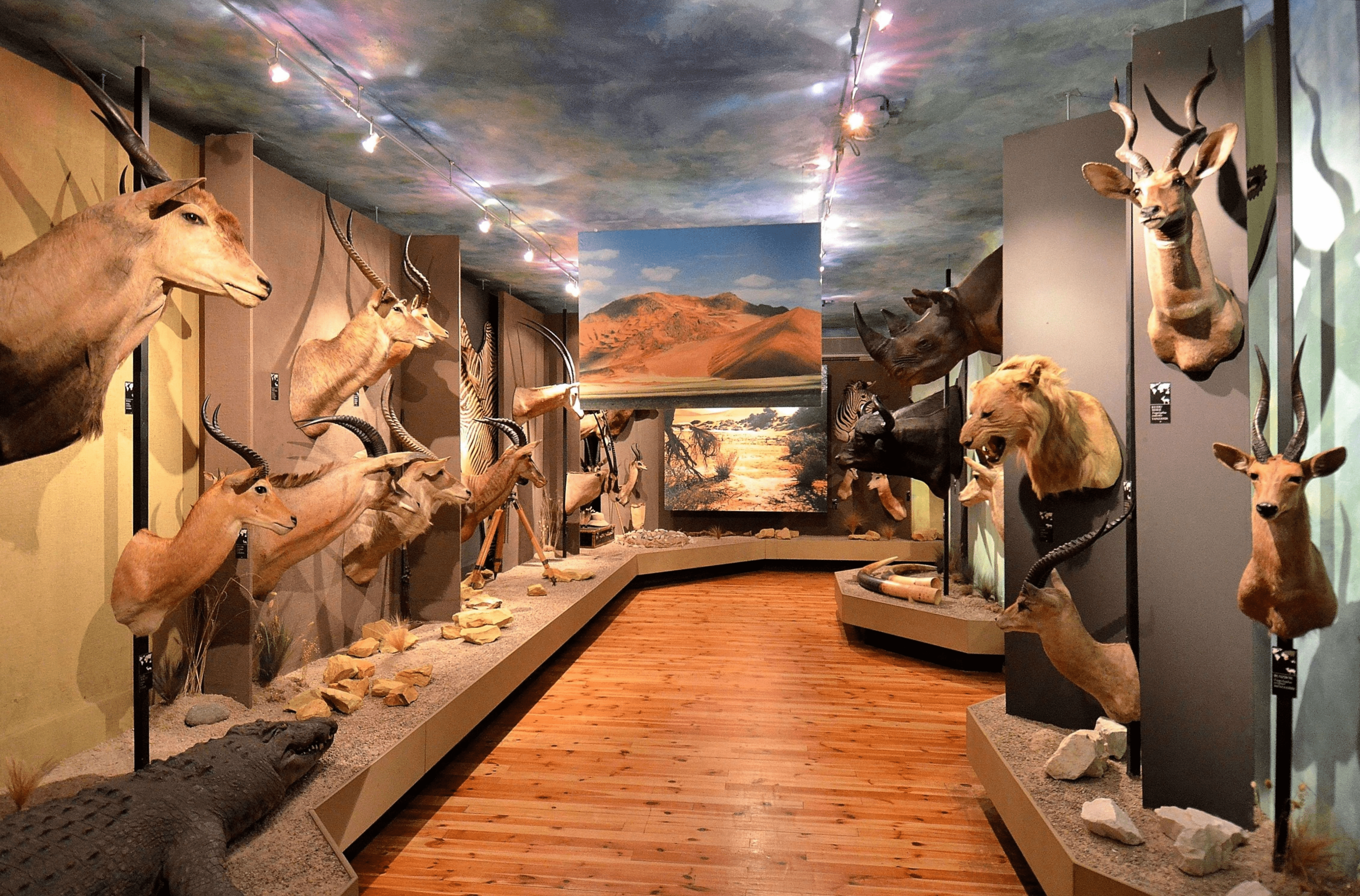 Музей охоты и верховой езды