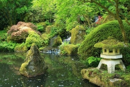  Японский сад во Вроцлаве