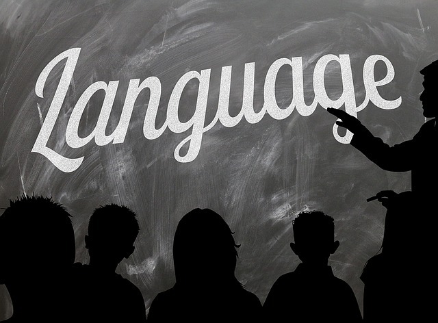  Удосконалення іноземної мови та навчання в Європі ,навчання освіта  в Польщі