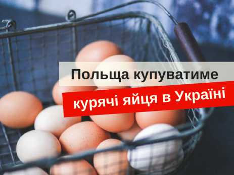 куриные яйца