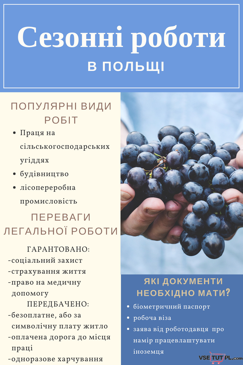 сезонні роботи в Польщі