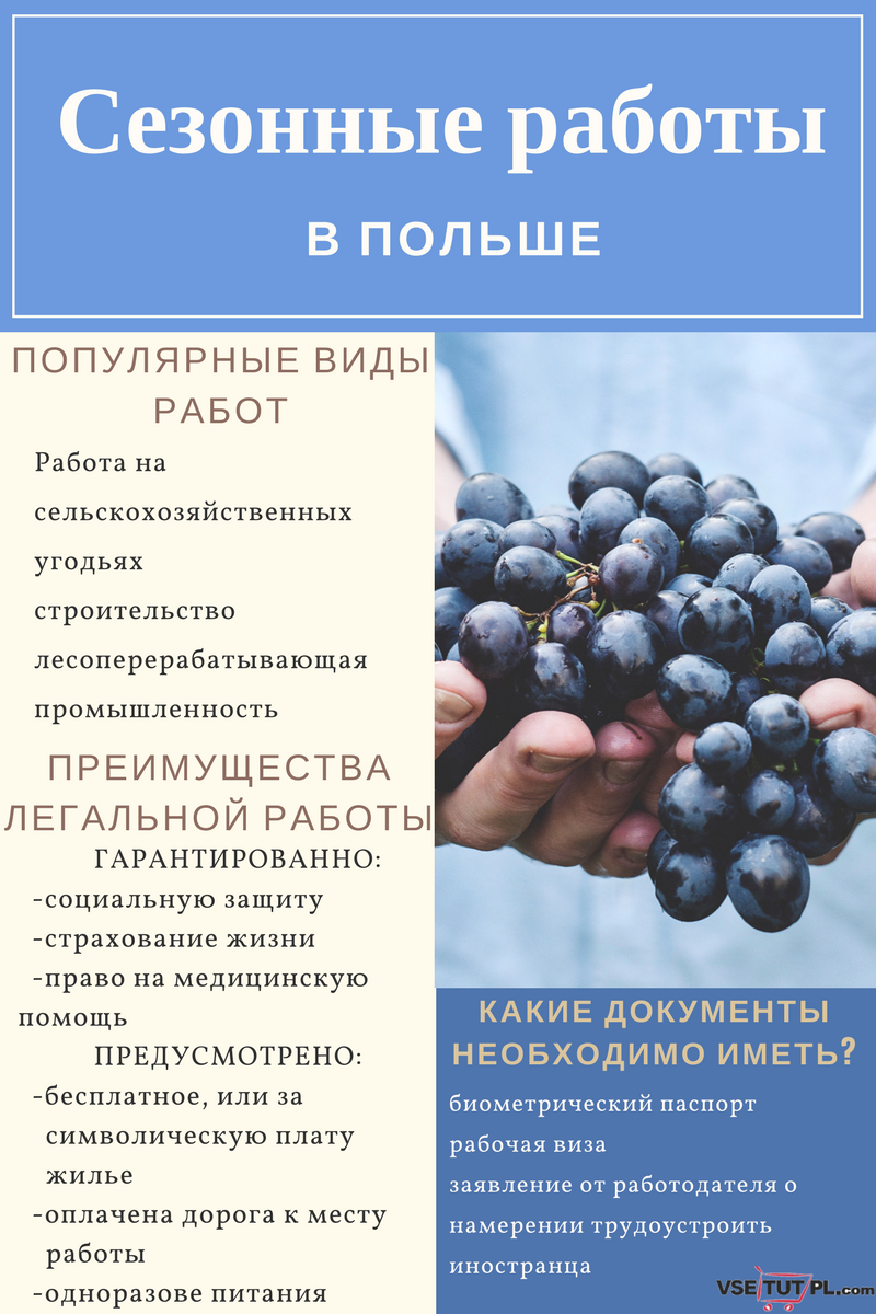 сезонные работы в Польше