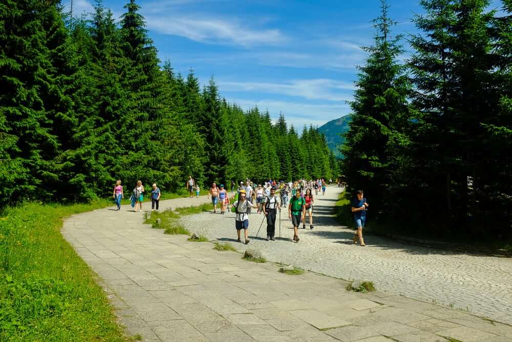Fayno Camp Zakopane Summer