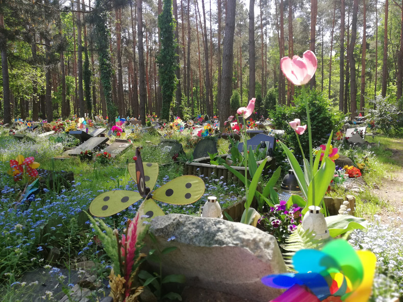 кладбище домашних животных в Польше