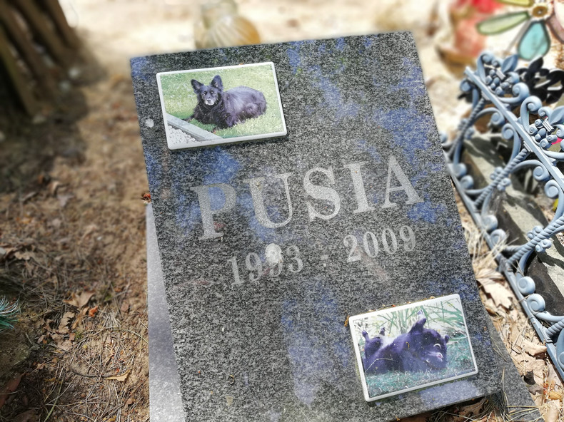 кладбище домашних животных в Польше