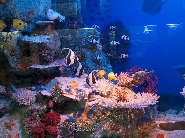 Отдых в Польше на море
