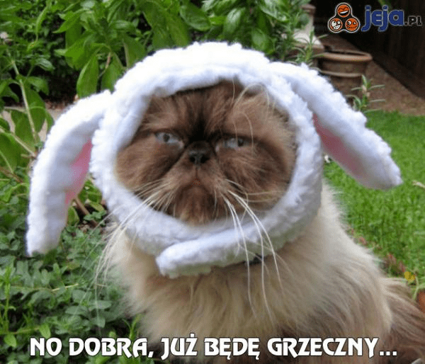 No dobra