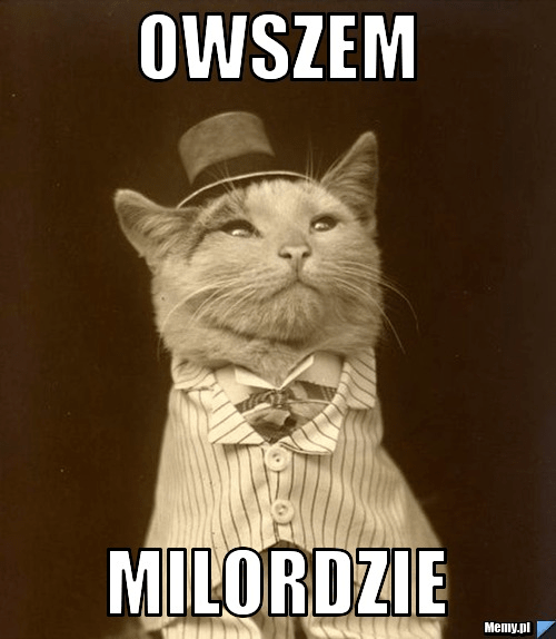 Owszem