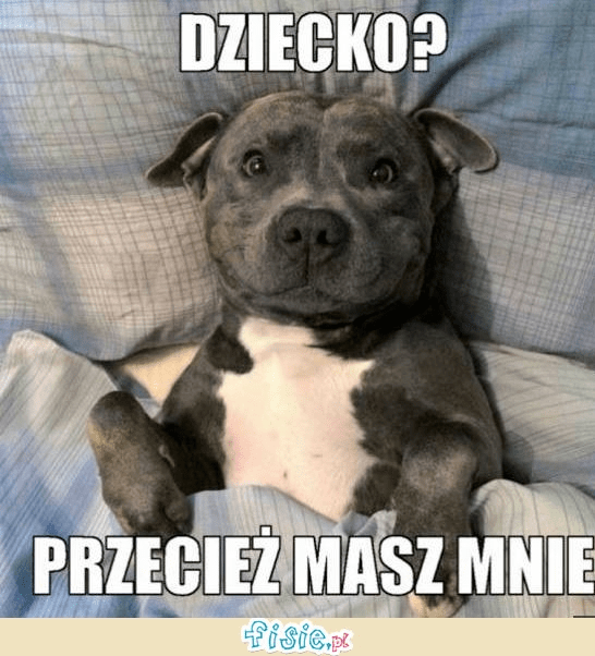 Przecież