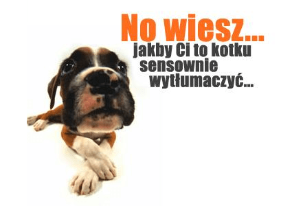 No wiesz