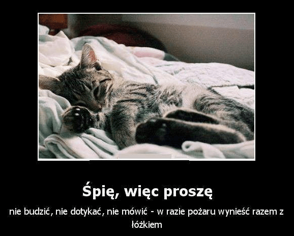 Więc