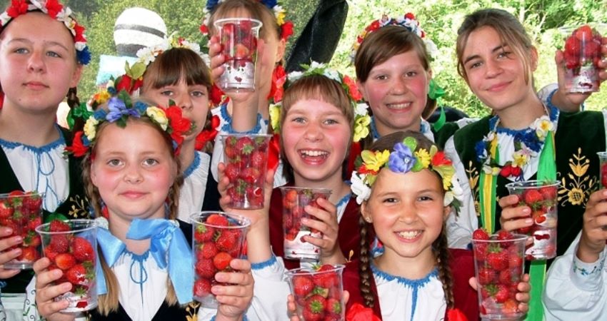 Truskawkobranie Kaszubskie