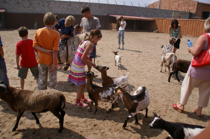 зоопарки в польщі