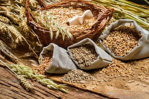 цены на продукты в польше 2022