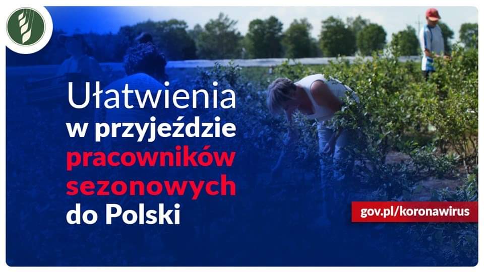 правила карантина в польше